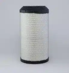 Donaldson P613333 Air Filter