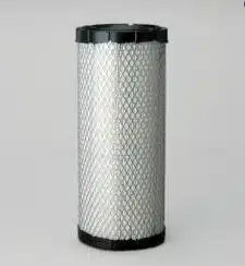 Donaldson P827653 Air Filter